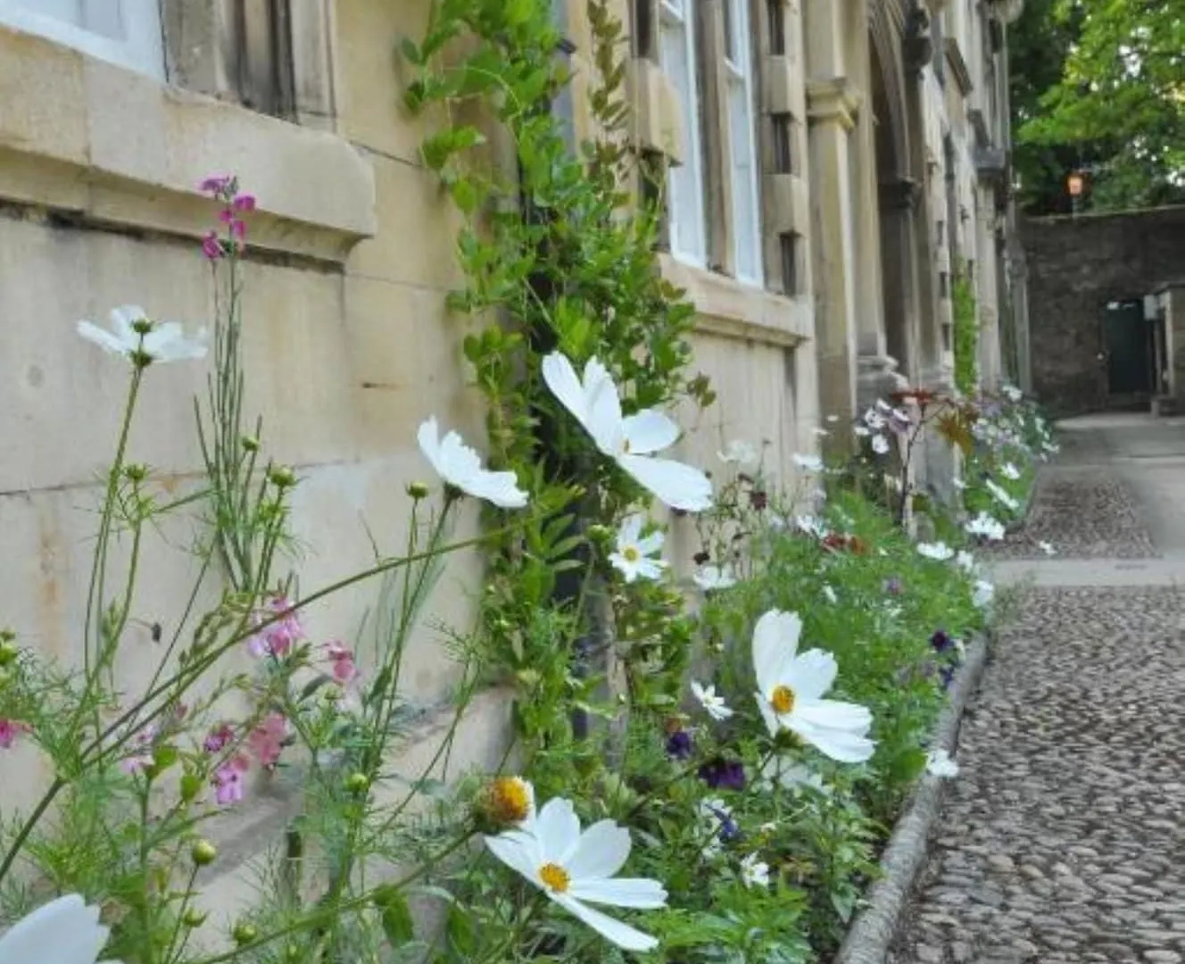 Hotel Christ'S College Cambridge